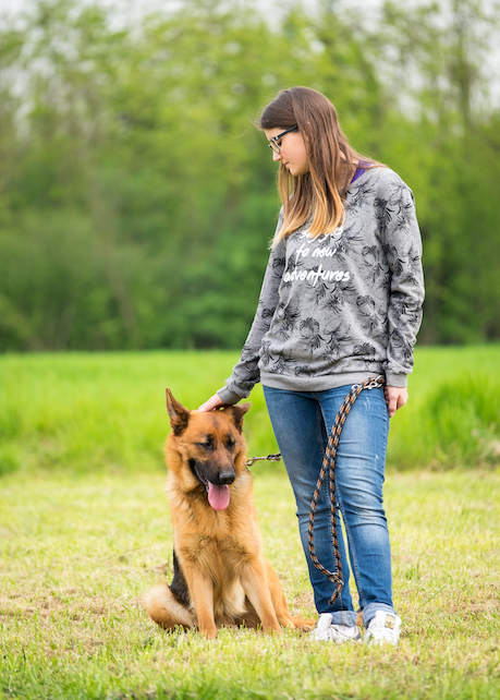 pensione per cani